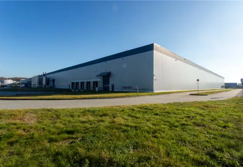 Logicor Rzeszów - 喀尔巴阡山省, rzeszowski, Głogów Małopolski, Rogoźnica, ul. Klementyny Hoffmanowej