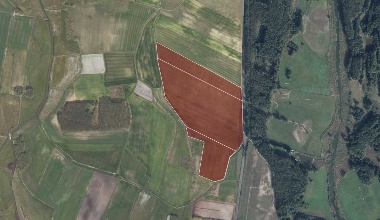 ❗❕Trzciel, Jasieniec—12 ha of investment land in the PU zone❕❗ Jasieniec